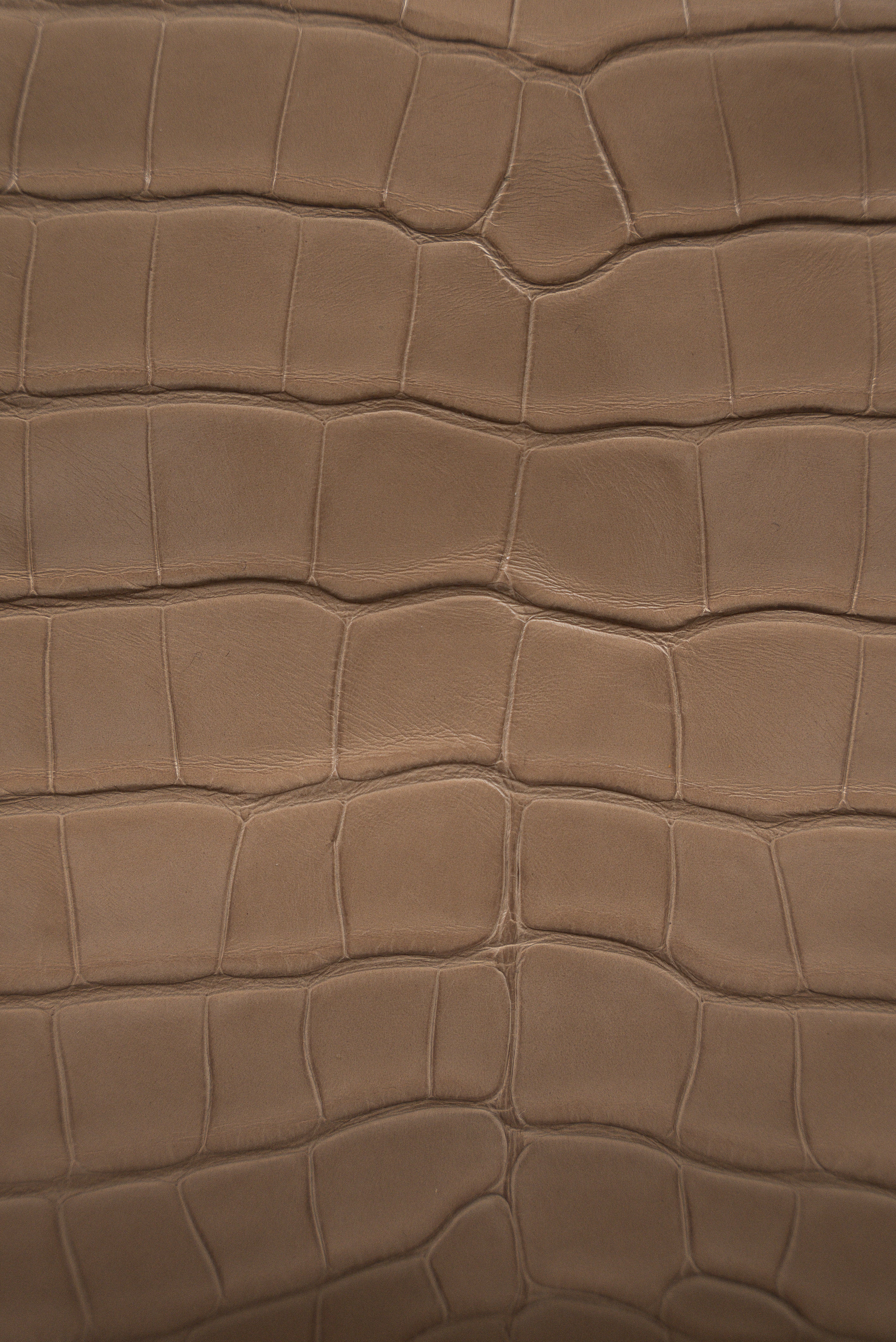 Cross-body Bag in Glazed Crocodile